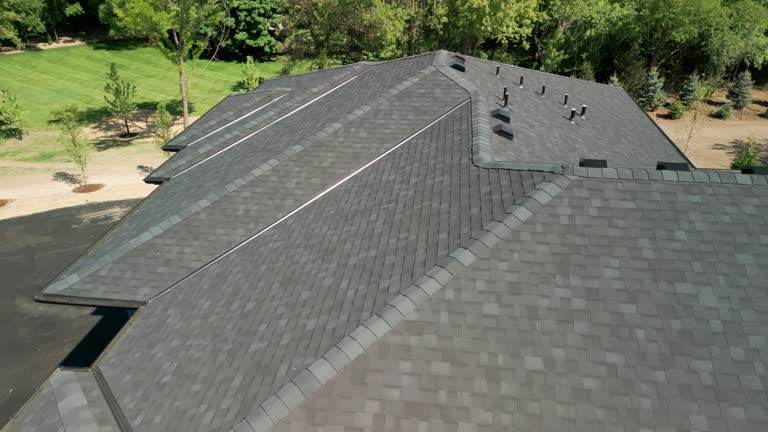 Best Roof Moss and Algae Removal  in Hillsborough, NJ